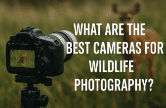 A DSLR camera with a long telephoto lens mounted on a tripod, capturing a bird image on its LCD screen, with a blurred deer in the background and text overlay reading "What Are The Best Cameras For Wildlife Photography?